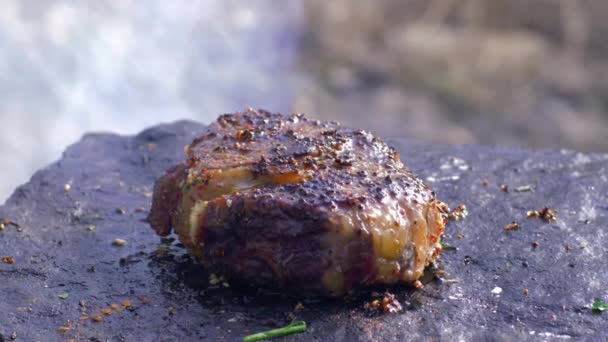 Comida en la naturaleza, suculento filete de carne grasa en especias asadas en piedra caliente al fuego con humo en el camping al aire libre — Vídeos de Stock