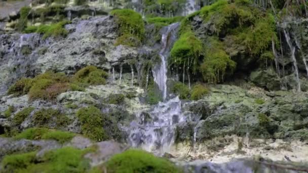 Natuurlijke waterval, stromen zuiver cascade water lopen door stenen begroeid met mos — Stockvideo