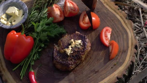 Picknickparty, smakelijke sappige biefstuk gebakken op grill met groenten en groente op houten stomp close-up op camping — Stockvideo