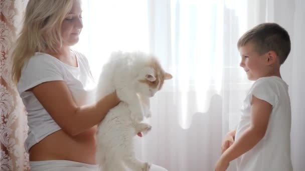 Küçük oğlu olan mutlu hamile bir kadın kediyi doğal ışıkta kucaklıyor. — Stok video