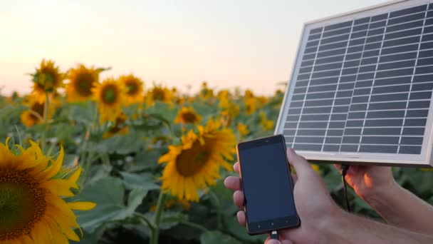 Telefono cellulare e batteria solare in armi persone accanto al campo al rallentatore, le mani mantengono il pannello solare sullo sfondo cielo blu — Video Stock