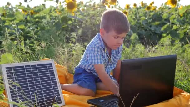 Energieopwekking technologie, gelukkig kind met behulp van laptop aangedreven door zonnebatterij op de achtergrond veld van zonnebloemen — Stockvideo