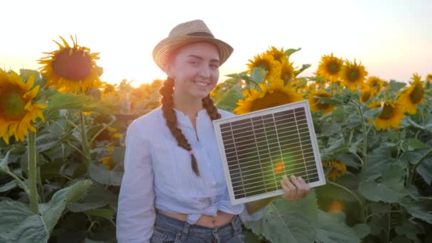 Weibchen zeigt Symbol der Zustimmung in Hintergrundbeleuchtung hält Solarbatterie in der Hand, fröhliches Mädchen hält Solarmodul in der Nähe Feld der Sonnenblumen — Stockvideo