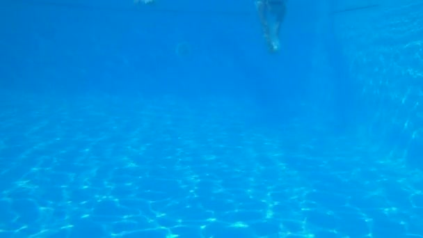 Jeunes amies en maillot de bain plongent et flottent sous l'eau dans la piscine bleu clair pendant les vacances d'été à la station balnéaire, tournage sous-marin — Video