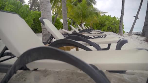 Tropical beach, lounges in row on sand among palm trees near water at exotic resort — Stock Video