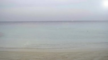 Tatil köyü, sahil sandalyeleri palmiye ağaçlarının altında deniz manzarası harika.