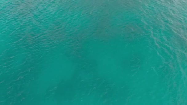 Viaje turístico, vista del dron en el agua de mar alrededor de la isla tropical resort con vegetación exótica y playa con casas — Vídeos de Stock