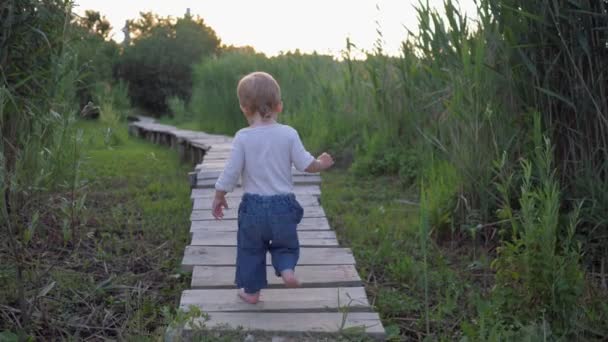 Aktiv söt liten pojke gå på träbro barfota i det fria bland hög vegetation — Stockvideo