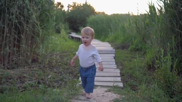 Mooie mooie jongen lopen op houten brug op blote voeten in de open lucht tussen hoge riet — Stockvideo