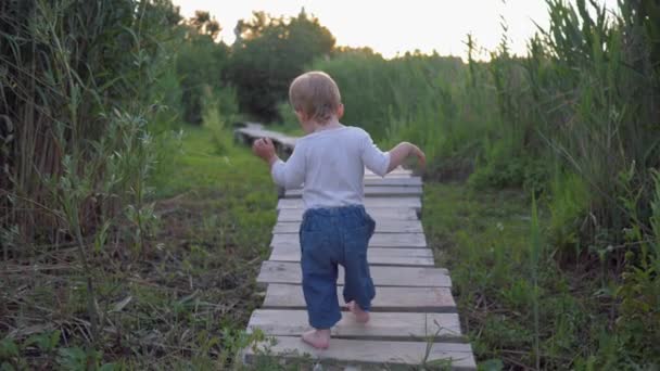 Vidám kisgyerek sétál a fa hídon mezítláb a természetben a zöld fű között — Stock videók