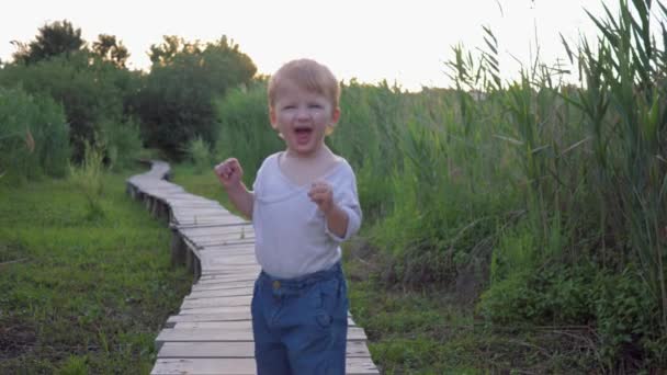 Emoções de felicidade, menino pequeno alegre que anda na ponte de madeira bootlessly ao ar livre entre vegetação alta — Vídeo de Stock