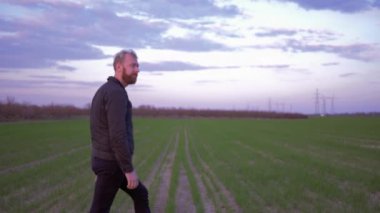 Tarım, çiftçi adam yeşil tarlaları aşar ve filizlenmiş mısır gevreğine bakar.