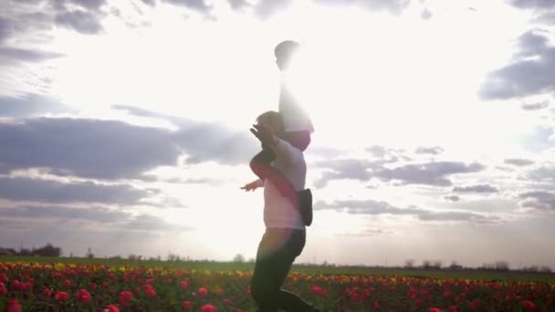 Father-child relationship, cheerful dad with son spread arms to side sitting on shoulders having fun on blossom meadow of tulips against sky in bright sunshine — Stock Video