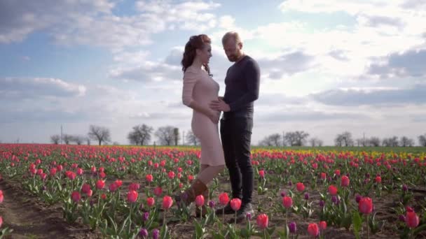 Feliz familia expectante, joven pareja esperando de bebé tocando el estómago y tomar vacaciones de placer en flores tulipán césped contra el cielo — Vídeo de stock