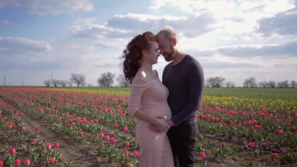 幸せな妊娠,男の将来の両親がおなかを愛撫し、空に対してフローレットチューリップフィールド上の調和を楽しむと美しい女性 — ストック動画
