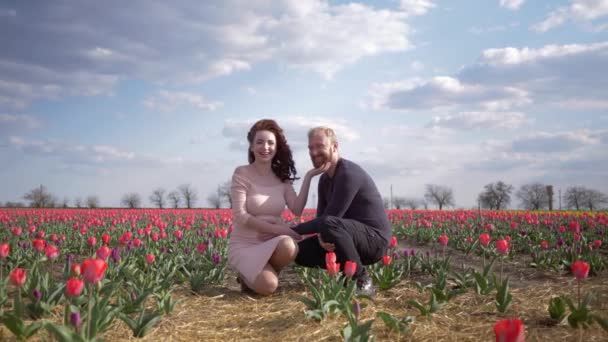 Feliz viaje al campo floreciente, mujer embarazada futura madre con vientre disfrutando de vacaciones con el marido en el césped de flores de tulipanes contra el cielo — Vídeo de stock