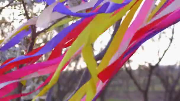 Veel gekleurde heldere linten vliegen in de wind buiten in bloeiende tuin — Stockvideo