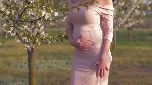 在盛开的果园里散步时，怀孕的快乐的未来的母亲爱抚着胎儿的肚子 — 图库视频影像