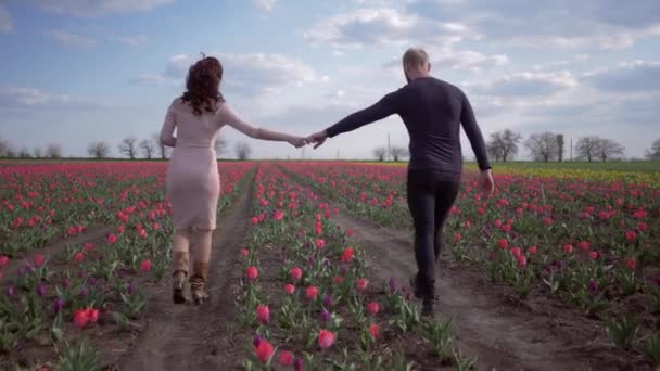 Romantikus séta, boldog fiatal férfi és nő kéz a kézben sétálnak a vörös tulipánok virágos mezején tavasz ellen tiszta ég — Stock videók