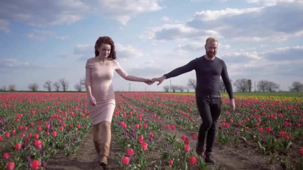 Ung familj väntar på barnet i magen tillsammans håller händerna går på blomma äng rosa tulpaner mot blå himmel — Stockvideo