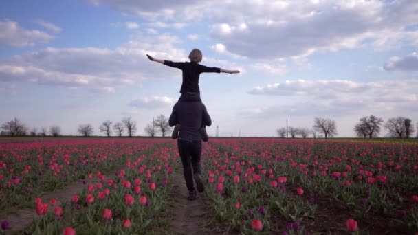 Счастливая семья, молодой отец с ребенком мальчик на плечах сделать самолет руки играют в цветы луг тюльпанов — стоковое видео