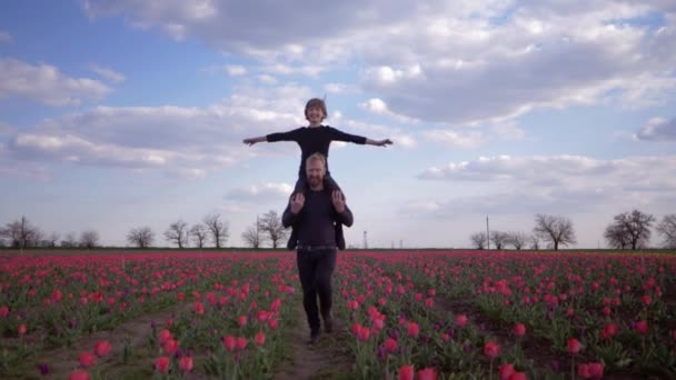 Feliz familia alemana, feliz padre con la risa hijo adolescente extendió los brazos a un lado sentado sobre los hombros correr por todo el campo de flores de tulipanes — Vídeo de stock