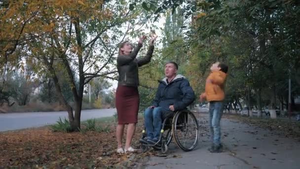 Веселый инвалид в инвалидной коляске весело проводит время со своей семьей, бросая красивые осенние листья на фоне деревьев — стоковое видео