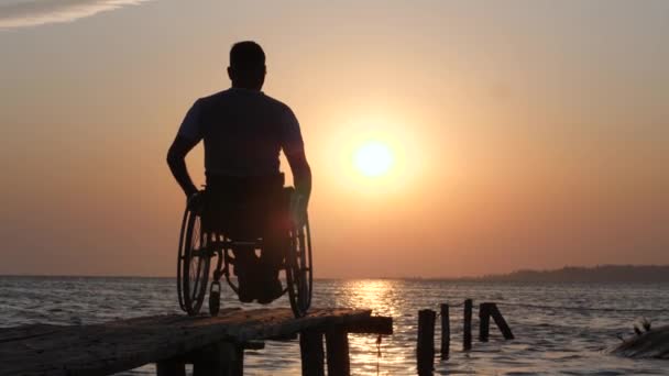 Aching human in wheelchair relaxes and raises his hands backdrop of horizon on sea on summer vacation — Stock Video