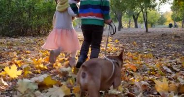Erkek ve kız kardeş köpekle birlikte sarı yaprakların üzerinde koşuyorlar, çiftler sonbahar parkında el ele tutuşuyorlar.