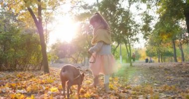 Küçük kız güz parkında güneşli bir günde tasmalı küçük bir köpekle yürüyor.