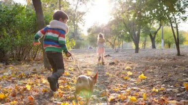 Sonbahar oyunları, küçük kız ve oğlan sıcak bir günde parkta köpeğiyle koşuyorlar.