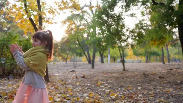 Kind speelt met zeepbellen in het zonlicht, gelukkig klein meisje lachen in de herfst — Stockvideo