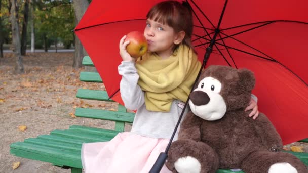 Ребенок сидит на деревянной скамейке рядом с плюшевым мишкой под красным зонтиком и ест большой красный в парке — стоковое видео