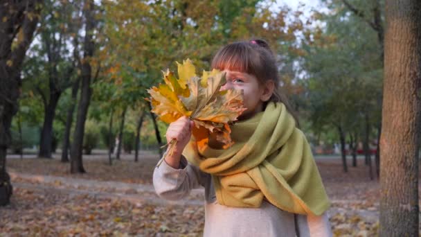 Happy female child with yellow leaves waving hand on camera and smile at park — ストック動画