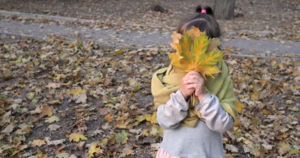 Приваблива дитина грає з кленовим жовтим листом у теплому шарфі на відкритому повітрі восени крупним планом — стокове відео