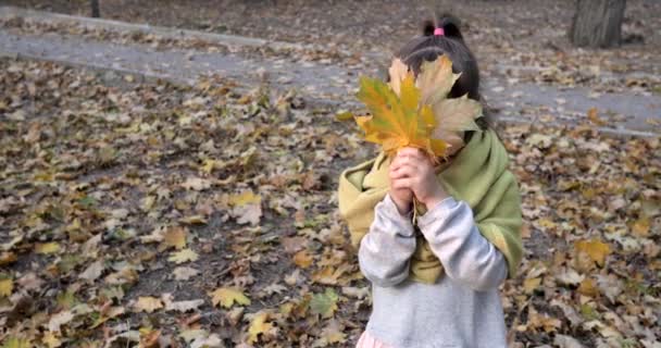 Magnifique enfant en écharpe chaude joue avec la feuille d'érable jaune sur fond de feuillage d'automne — Video