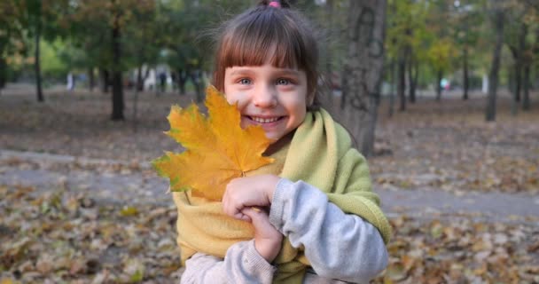 Emoção de felicidade, criança do sexo feminino cobre o rosto com folha amarela de bordo e sorrindo para a câmera na natureza no outono closeup — Vídeo de Stock