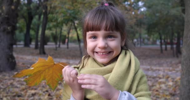 Happy emotion, portrait female child with maple yellow leaf smiling into camera on nature in autumn — Stock Video