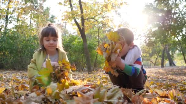 I bambini si siedono con foglie gialle in mani su sfondo di alberi e fogliame a parco di autunno in luce del sole — Video Stock