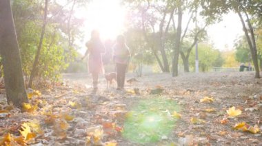 Çocuklar sarı yapraklı küçük köpeğiyle sonbahar parkında arka planda ağır çekimde koşarlar.