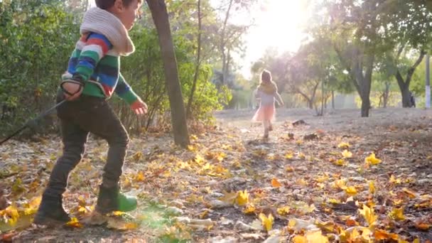 Маленька дівчинка і хлопчик бігають зі своєю собакою в теплий день в осінньому парку під підсвічуванням — стокове відео