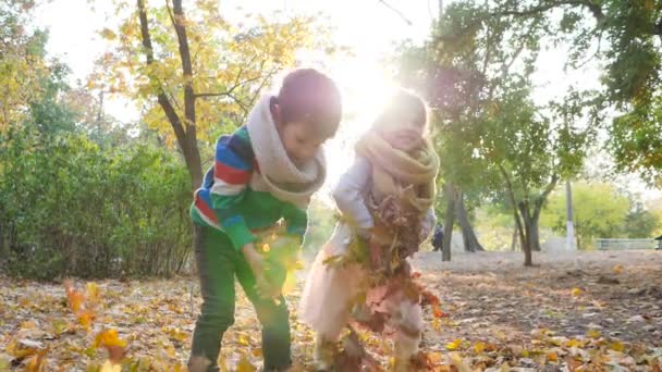 Kız ve erkek kardeş ağaçların arka planına sarı yapraklar fırlatıp arka planda oynuyorlar. — Stok video