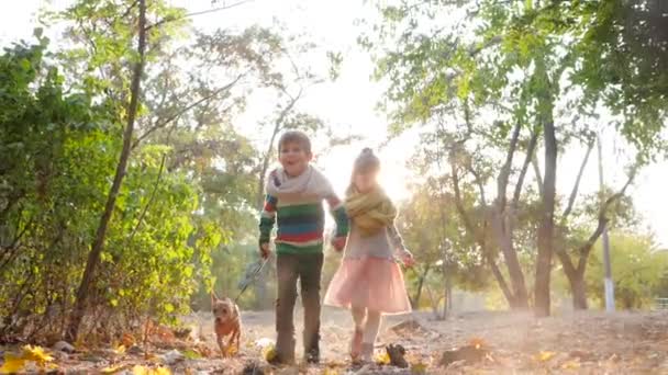 Cálido día de otoño, hermana y hermano corriendo con la mascota en la correa en la luz de fondo en el parque — Vídeos de Stock