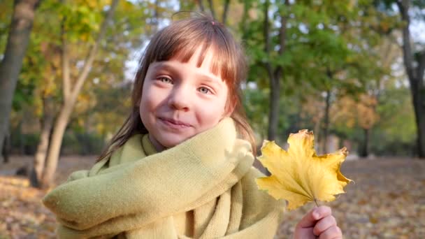 Желтый лист в руках маленькой девочки на фоне размытых деревьев, городской парк осенью — стоковое видео