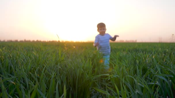 Fröhliches Wochenende, fröhlicher kleiner Junge, der im Sommer über ein Feld mit hohem grünen Gras läuft — Stockvideo