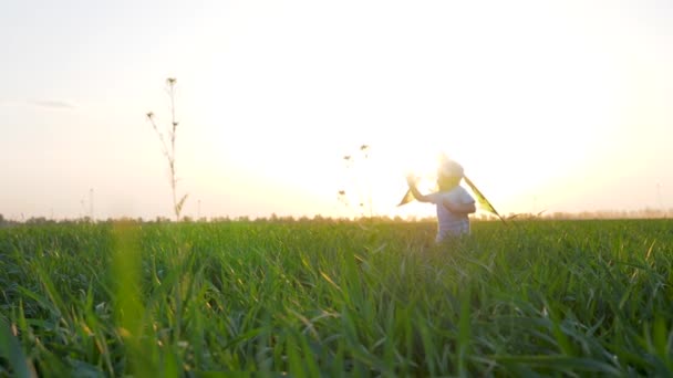 Garoto feliz com brincadeira aérea em mãos corre no gramado à luz do sol no céu de fundo — Vídeo de Stock