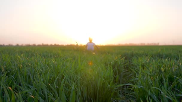 Entretenimiento de verano de niño saltando en la hierba de campo en los rayos del sol en cámara lenta — Vídeos de Stock