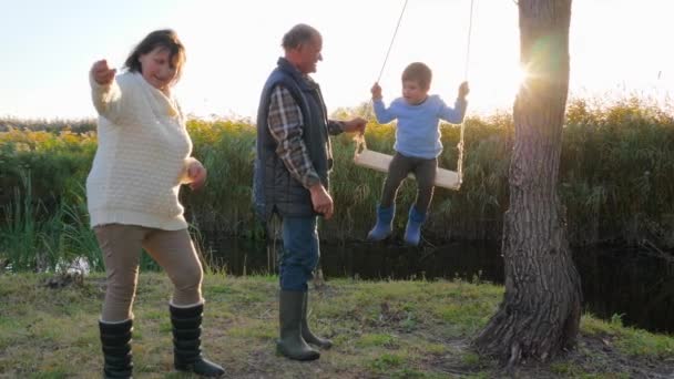 Семейный отдых на свежем воздухе, пожилая женщина играет с собакой и муж трясет ребенка на качелях на природе — стоковое видео