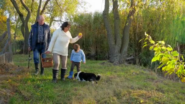 Сімейна поїздка на природу, літні люди з онуками гуляють в осінньому парку з собакою — стокове відео