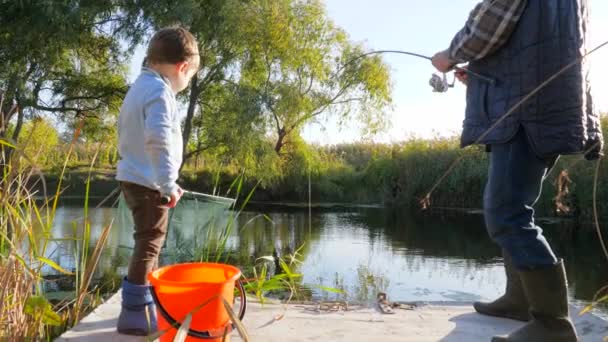 Familienurlaub, Großvater mit Enkel fängt im Sommer große Fische am See zwischen Bäumen und Schilf — Stockvideo